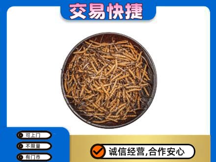 山南市措美县回收散虫草